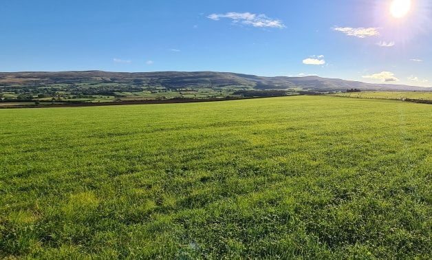 A great view of a wide swath of land